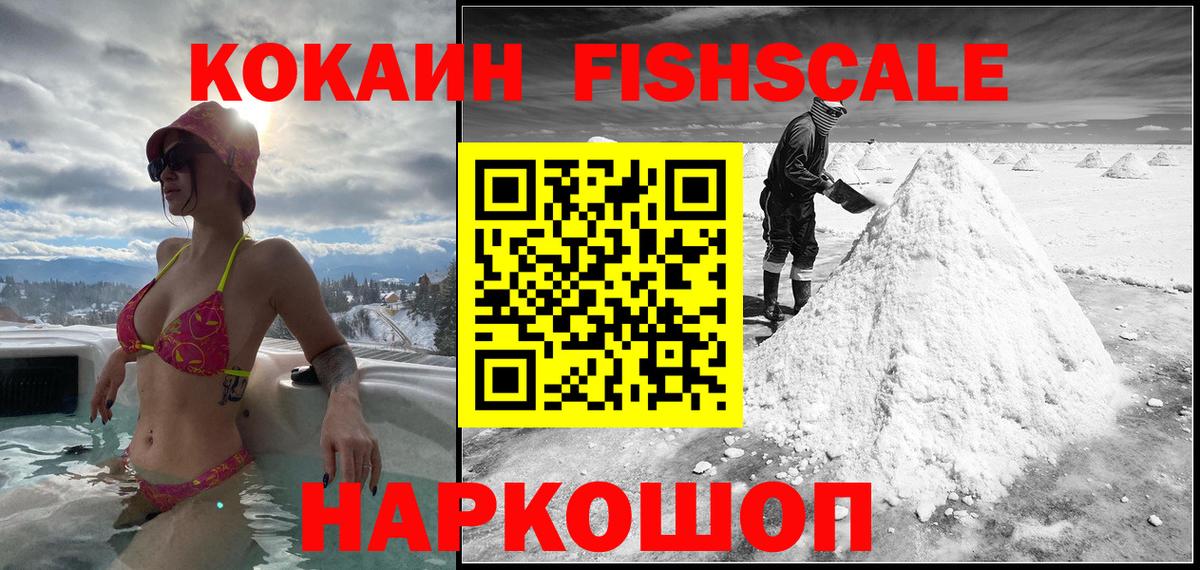 COCAIN Fish Scale  КОКАИН Fish Scale  Сегежа  Вход с VPN 