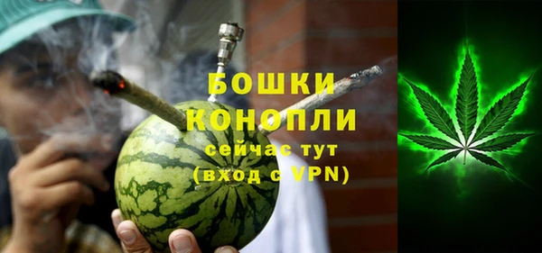 ГАЛЛЮЦИНОГЕННЫЕ ГРИБЫ Ладушкин