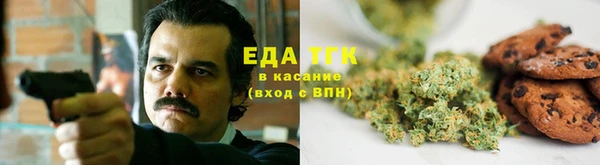 ГАЛЛЮЦИНОГЕННЫЕ ГРИБЫ Ладушкин
