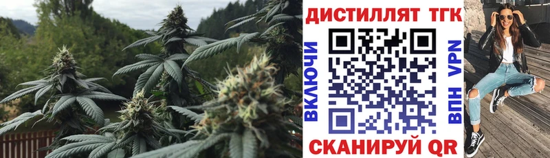 ТГК Wax  закладка  Сегежа 