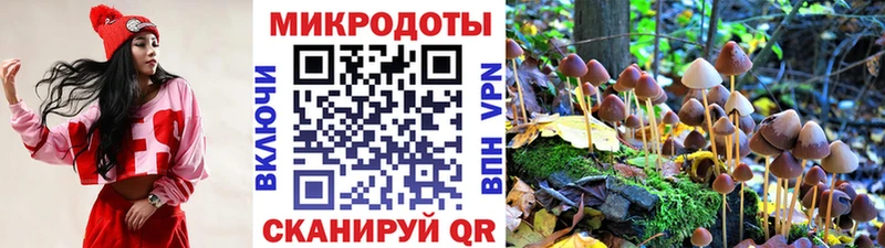 Псилоцибиновые грибы мухоморы  купить наркотики цена  Сегежа 