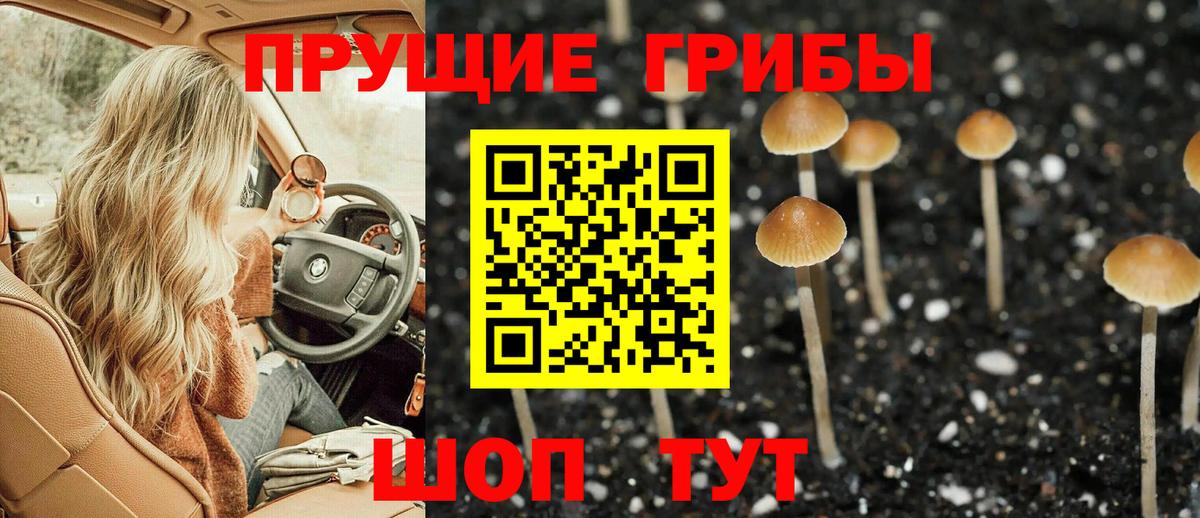 Галлюциногенные грибы Cubensis  Вход с VPN  цены   Сегежа 