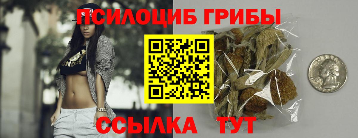 Псилоцибиновые грибы GOLDEN TEACHER Сегежа